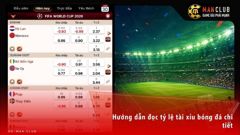 Nắm vững cách đọc tỷ lệ lẻ giúp bạn tính toán số tiền thắng thua chuẩn xác